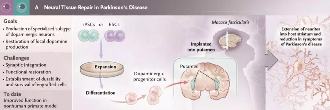 15573635354968123l1A.jpg 微信圖片_20190509085847.jpg