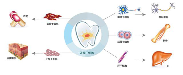 1563247093468078GwaH.png 圖片5.png