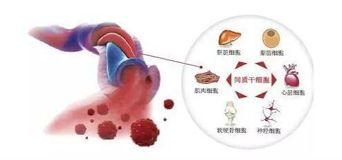 1563329524214976yi5c.png 圖片4.png